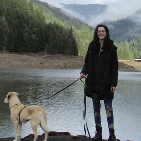 Wholistic Hounds - Animal Communication & Energy Medicine  - Bend, OR