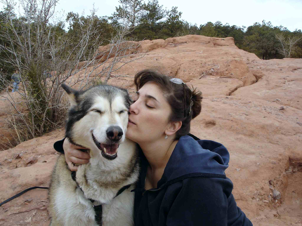 Two Bear Healing Arts | Animal Communication + Pet Reiki  - Nationwide
