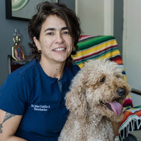 My Vet At Home - In Home Mobile Vet Service - Miami, FL