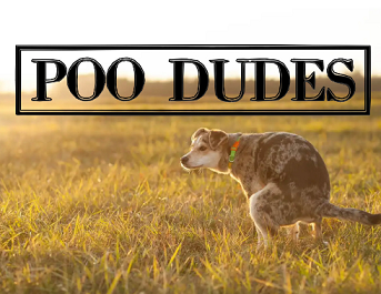 Poo dudes