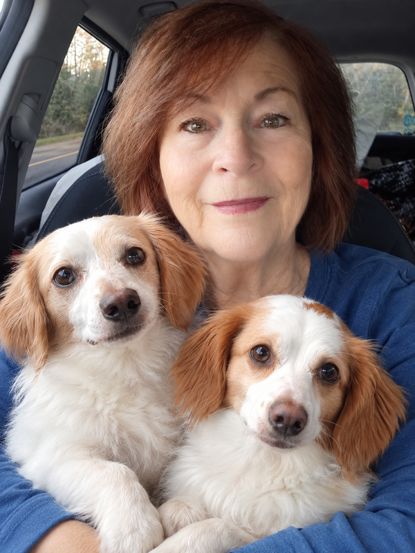 Cozy car selfie with two dogs