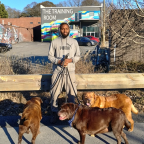 Fit & Fantastic K9 - Dog Walking and Sitting Services - Atlanta, GA