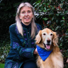 Private In Your Home Dog Training - Monroe, WA