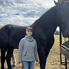 Spotted Horse - Pet Distance Reiki - Animal Communication - Bluffton, SC