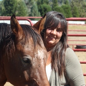 AB Equestrian - Horse Training Services - Laurel, MT