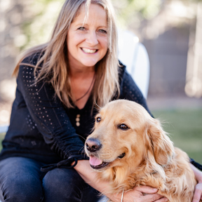 Unleashing Canine Greatness - Private Dog Training - Show Low, AZ