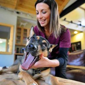 Dr. Avery Garrabrant - AVCA Certified Animal Chiropractor - Durham, NC