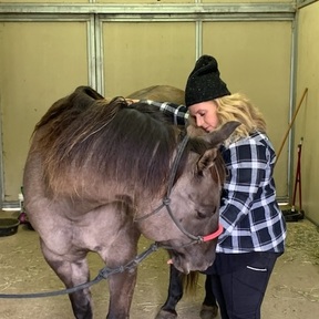 Vitality Animal Therapies, LLC - Animal Massage - Olympia, WA