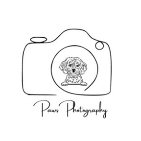 Paws Photography - Pet Photographer - Greenville, SC
