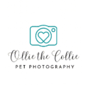 Bowie Maryland Pet Photography Sessions - Bowie, MD