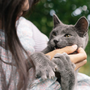 Clinical Pet Nutritionist & Professional Canine Formulator - Modesto, CA