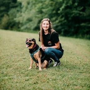 Vensel Private Canine Training - High Point, NC