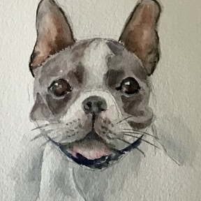 Carla Sternberg Koch - Pet Portrait Artist - Cheshire, CT