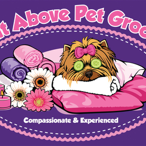 A Cut Above Pet Grooming  - Plant City, FL