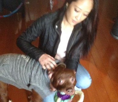 Dog Training with MJ - Great Neck, NY