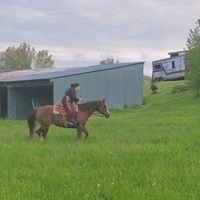 Jasper Farms, LLC - Horse Boarding - Baltimore, OH