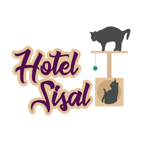 Hotel Sisal - Cat Boarding - Madison, WI