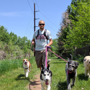 Dogs Colorado - Dog Walking Services - Golden, CO
