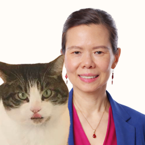 Support Before and After Loss of Your Beloved Pet - Thousand Oaks, CA