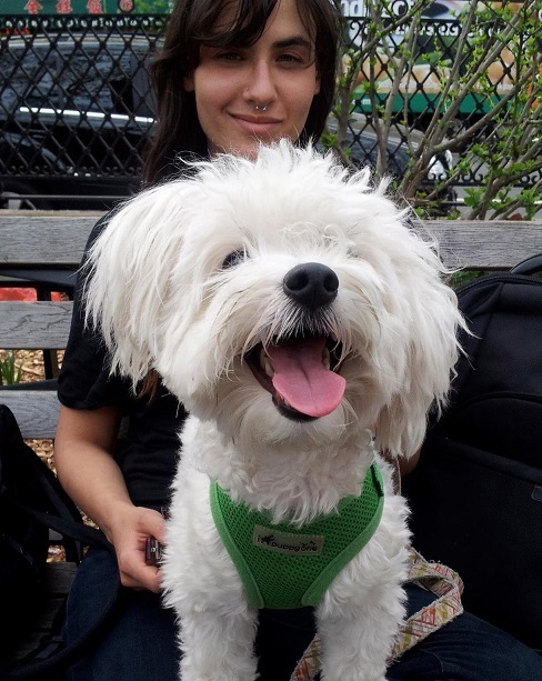 Park slope pups