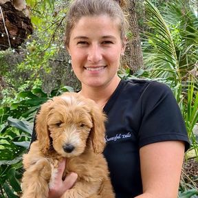 Successful Tails Dog Training - Roseland, FL