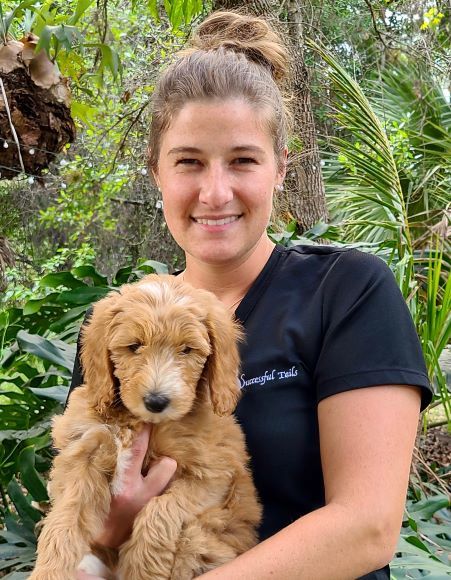 Successful Tails Dog Training - Roseland, FL