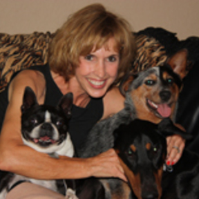 Dog Training Naturally - Professional Private Dog Training - Boynton Beach, FL
