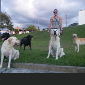Pet Sister - Dog Walking and Pet Sitting Service - Glendale, NY