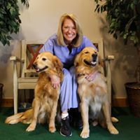 Dr. Irven Animal Chiropractic - Fort Collins, CO