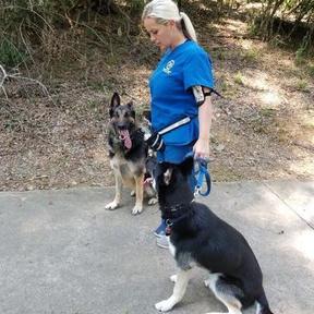 Graced Kennels - Boarding and Private Dog Training  - Augusta, GA