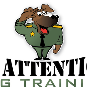 At Attention Dog Training