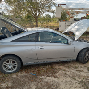 Joshua Parker Pet Transportation Service - Kissimmee, FL