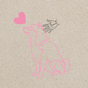 Nose to Tail Pet Massage - Ashland, MA