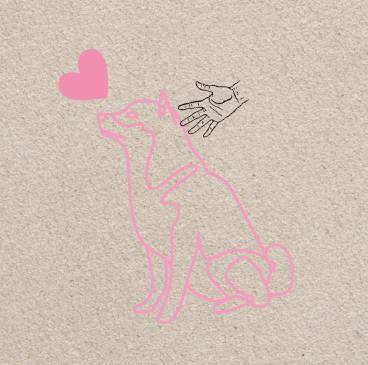 Screenshot 2025 12 08 120123