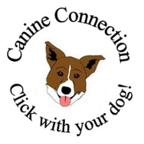 Canine Connection LLC - Expert Professional Dog Training - Willard, MO