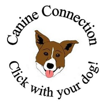 Canine Connection LLC - Expert Professional Dog Training - Willard, MO