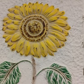 Fur Baby Care Pet Sitting Service - Hartford, AL