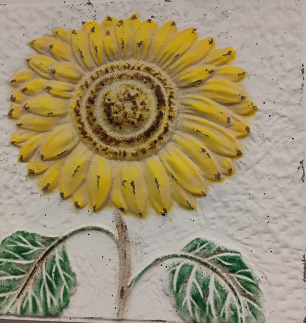 Img 20251023 094954318