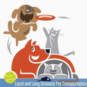 Where Every Pet Rides Like Family - Harriman, TN