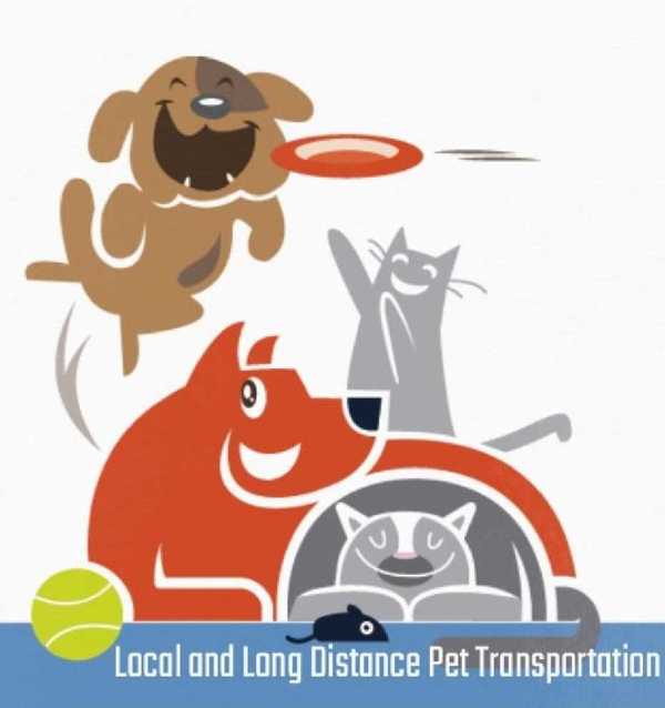 433099742 1085842642504051 3122417218242596272 n