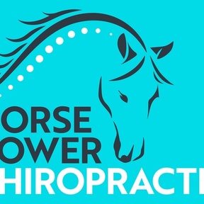 Horse Power Chiropractic Mobile Animal Chiropractic Services - Summerville, SC