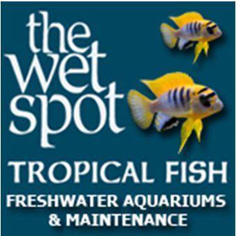 The Wet Spot Tropical Fish Maintenance - Aquarium Services - Portland, OR