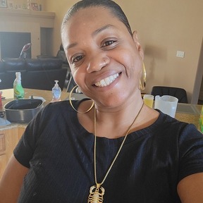 KT's Pet Travel - Las Vegas, NV