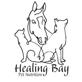 Help Your Horse Thrive - Equine Hanna Somatics  - Howell, MI