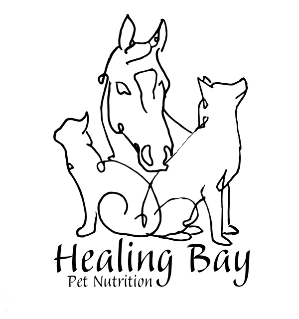 Certified Clinical Pet Nutritionist and Consulting - Nationwide