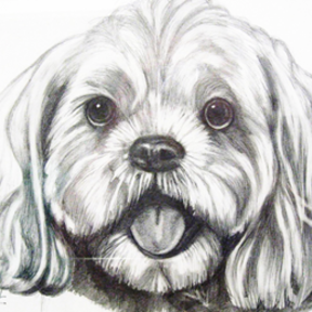 Janie the Artist - Pet Portrait Paintings - Nationwide