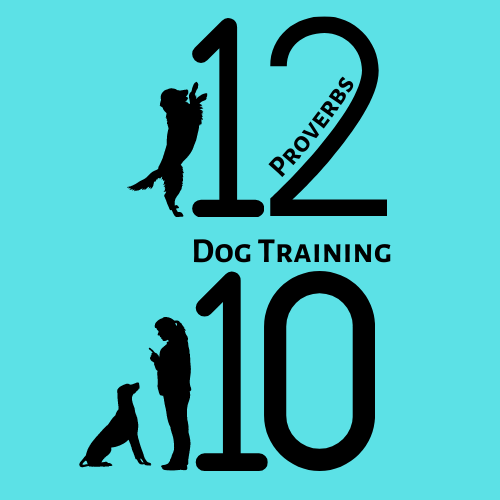 12:10 Dog Training - Selma, TX