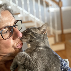 Animal Communication, Mediumship, and Energy Healing - Chatham, VA