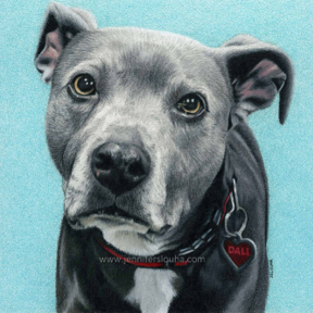 Jennifer Slouha Fine Art - Missouri Pet Portrait Artist  - Holts Summit, MO