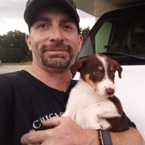 Affordable Pet Transport  - Fort Collins, CO